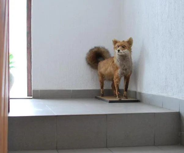 Bed & Breakfast Farm Bogsa