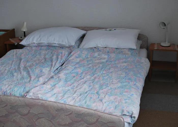 Farm Bogsa فندق مبيت وإفطار 3*